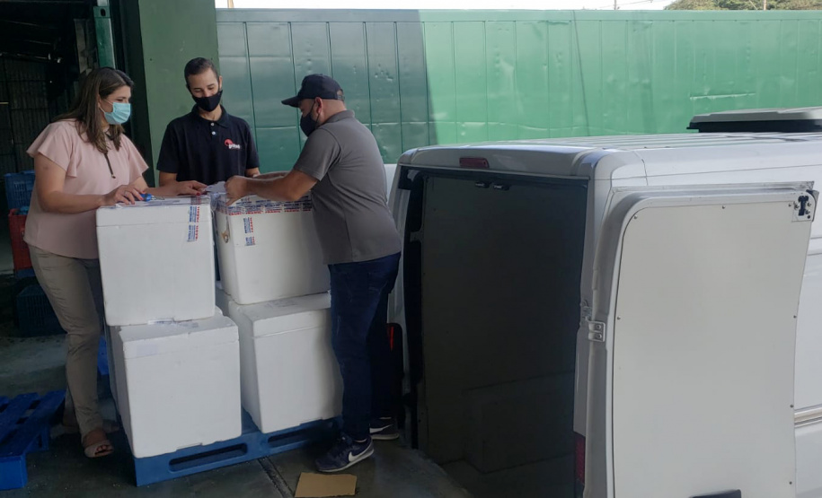 Mais 124 mil vacinas para dose de reforço contra a Covid-19 chegam ao Paraná