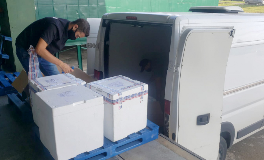 Mais 124 mil vacinas para dose de reforço contra a Covid-19 chegam ao Paraná