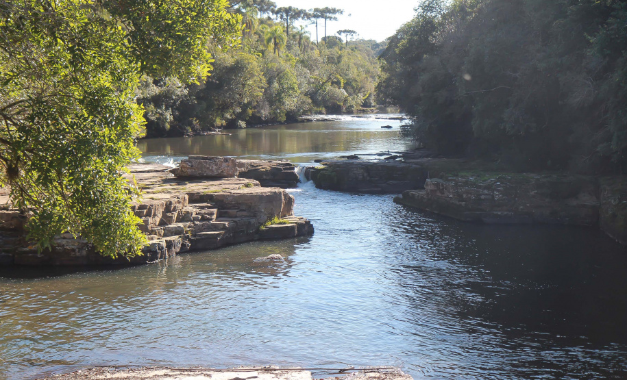 Parques estaduais funcionam com capacidade total nas férias; confira a lista de UC’s abertas à visitação