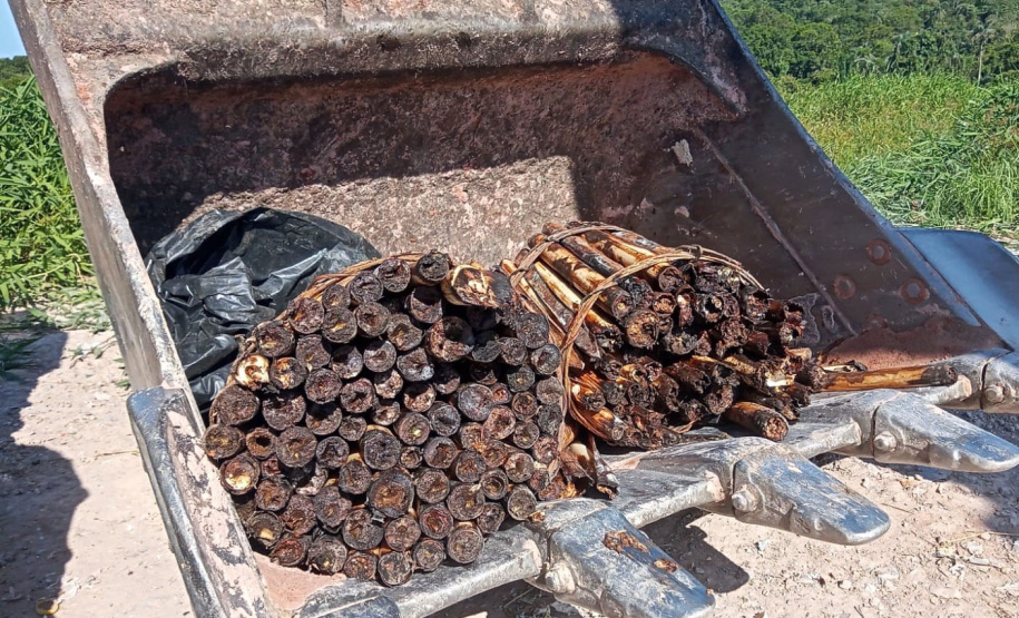 Batalhão Ambiental emite mais de 3,4 mil autuações e aplica mais de R$ 60,2 milhões em multas por crimes ambientais em 2021