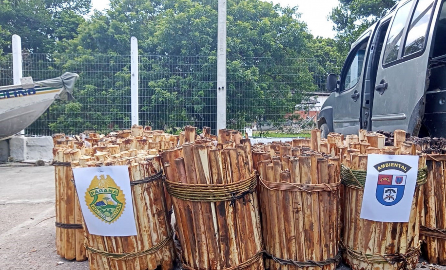 Batalhão Ambiental emite mais de 3,4 mil autuações e aplica mais de R$ 60,2 milhões em multas por crimes ambientais em 2021