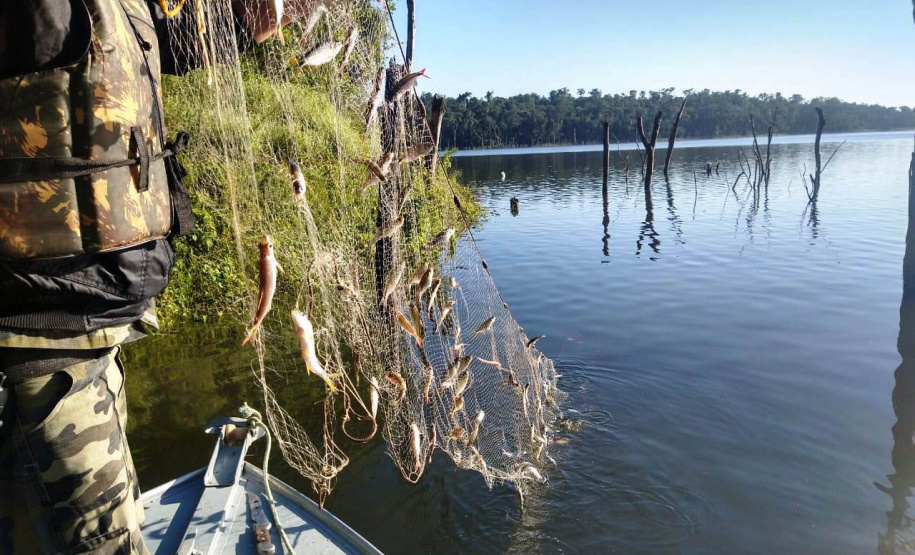 Batalhão Ambiental emite mais de 3,4 mil autuações e aplica mais de R$ 60,2 milhões em multas por crimes ambientais em 2021