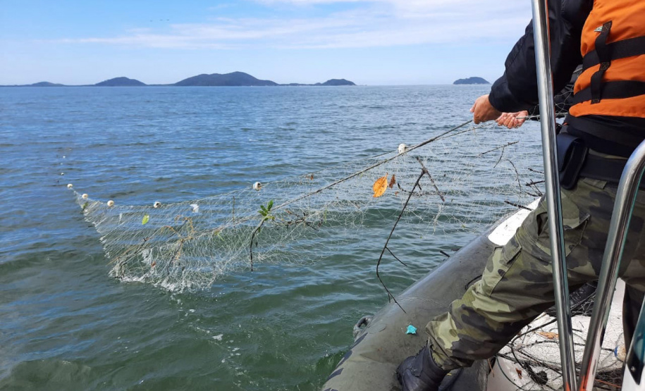Batalhão Ambiental emite mais de 3,4 mil autuações e aplica mais de R$ 60,2 milhões em multas por crimes ambientais em 2021