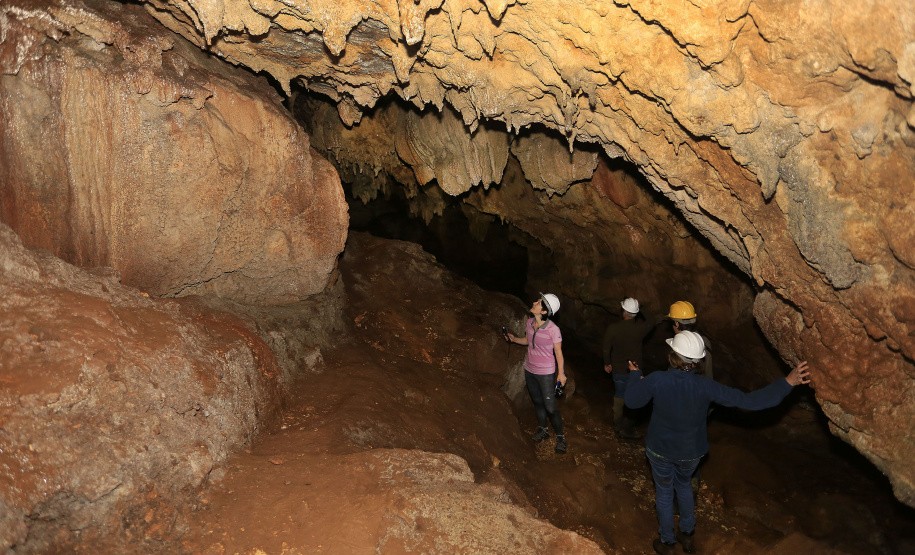 Parques estaduais funcionam com capacidade total nas férias; confira a lista de UC’s abertas à visitação