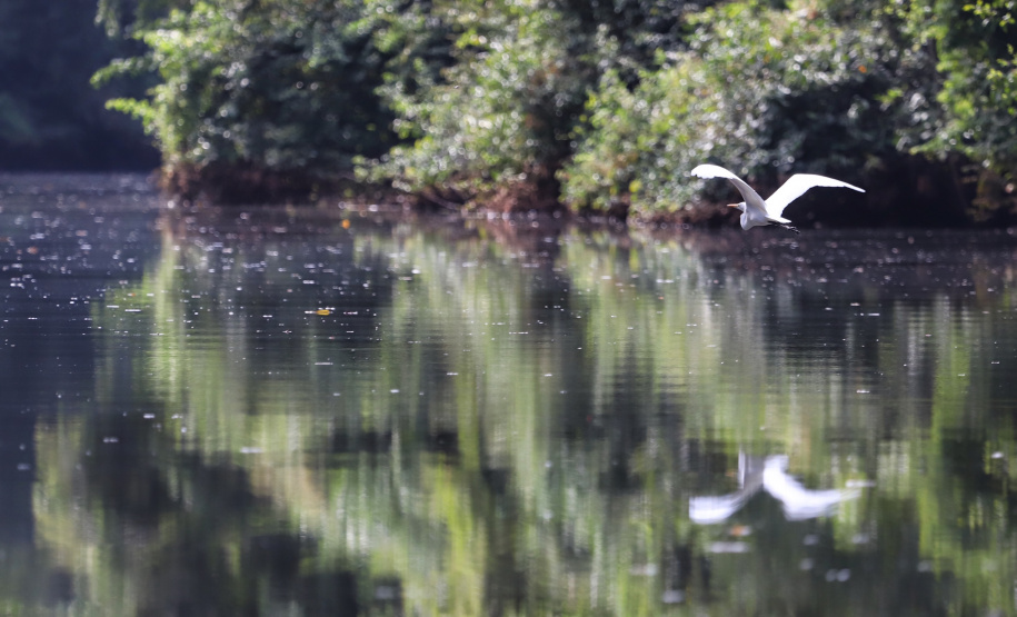 Conselho dos Bens Lesados aprova projetos ambientais com recursos da Petrobras