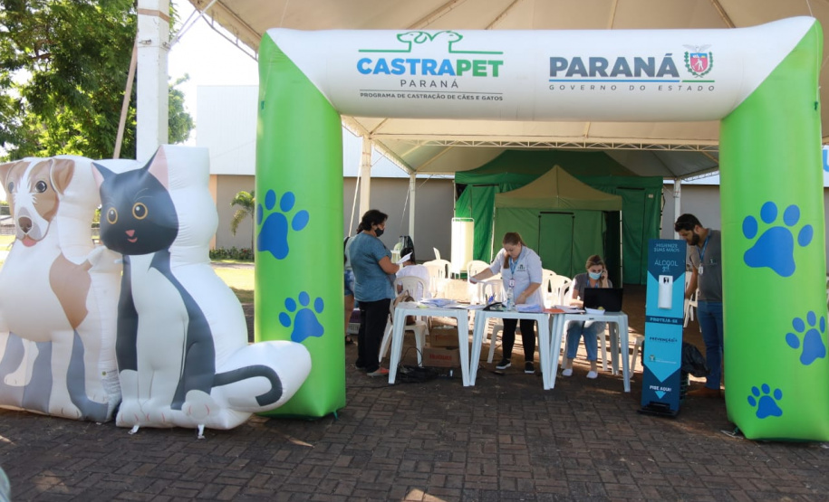 CastraPet Paraná chega a mais 12 municípios e encerra segundo ciclo em janeiro