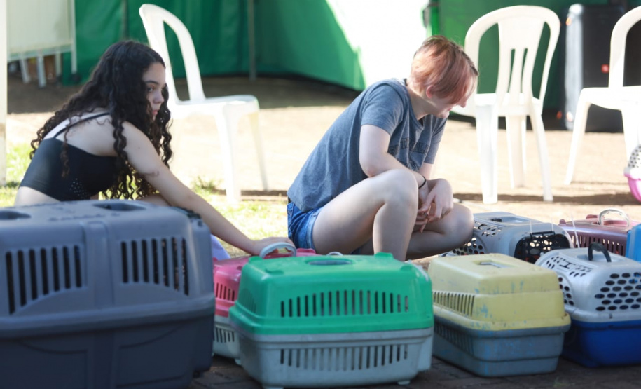 CastraPet Paraná chega a mais 12 municípios e encerra segundo ciclo em janeiro