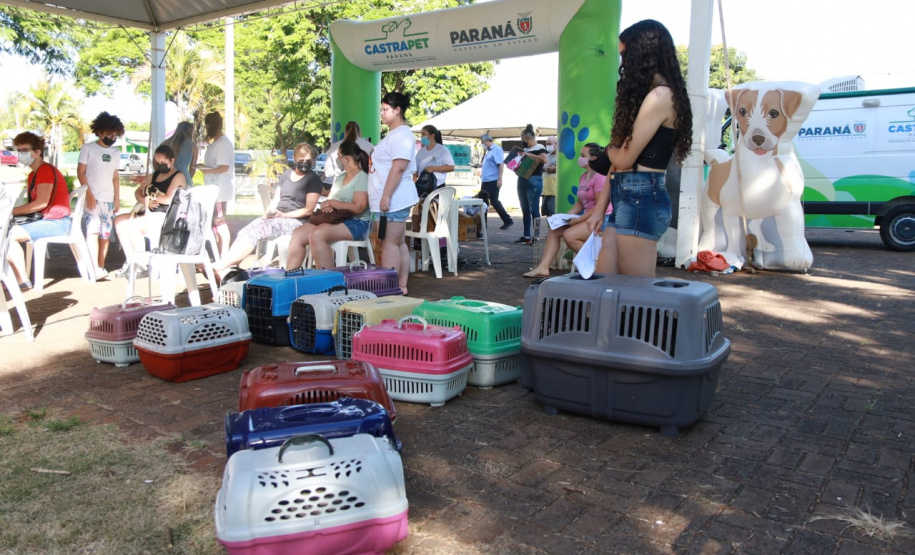 CastraPet Paraná chega a mais 12 municípios e encerra segundo ciclo em janeiro