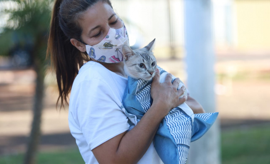 CastraPet Paraná chega a mais 12 municípios e encerra segundo ciclo em janeiro