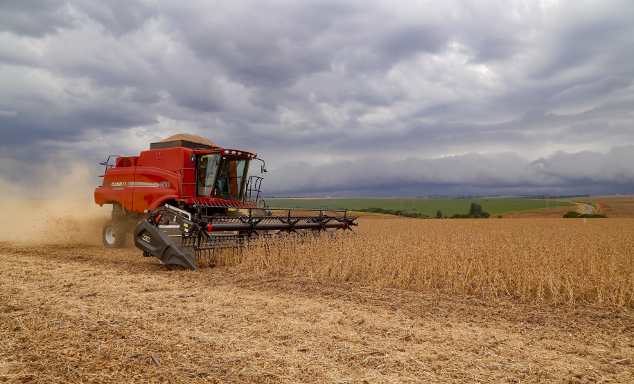 Primeira Previsão de Safra Subjetiva do Deral aponta redução de 39% no potencial da soja