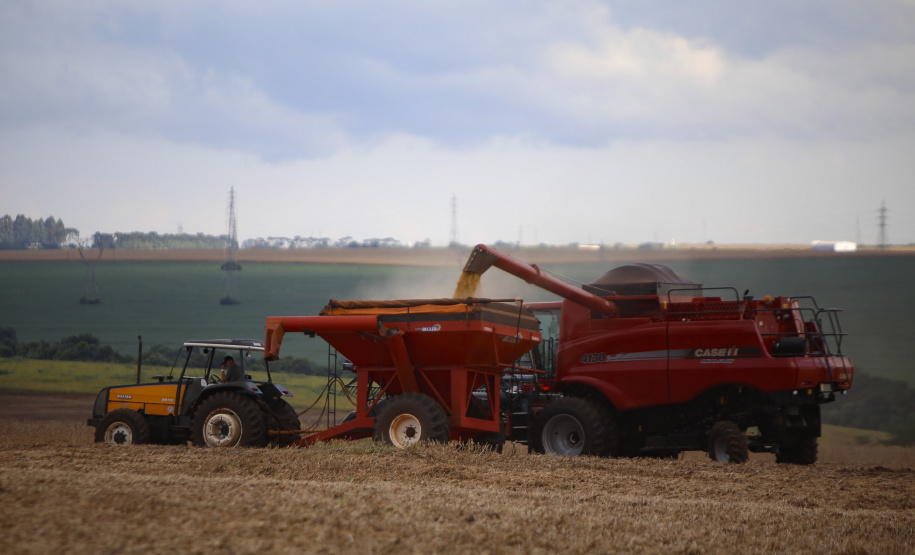 Primeira Previsão de Safra Subjetiva do Deral aponta redução de 39% no potencial da soja