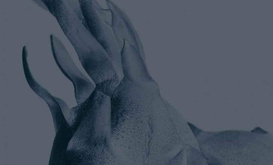 MUPA promove cinco meses de programação focada nas relações entre humanos e plantas