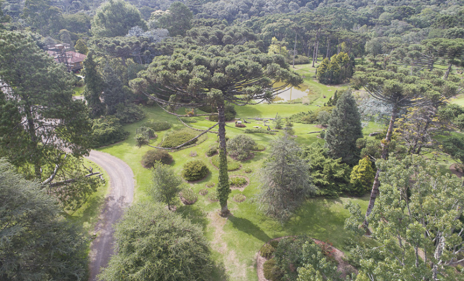De olho na sustentabilidade, Copel se mantém na carteira do Índice de Carbono Eficiente da B3