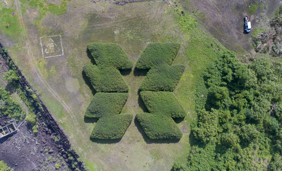 De olho na sustentabilidade, Copel se mantém na carteira do Índice de Carbono Eficiente da B3