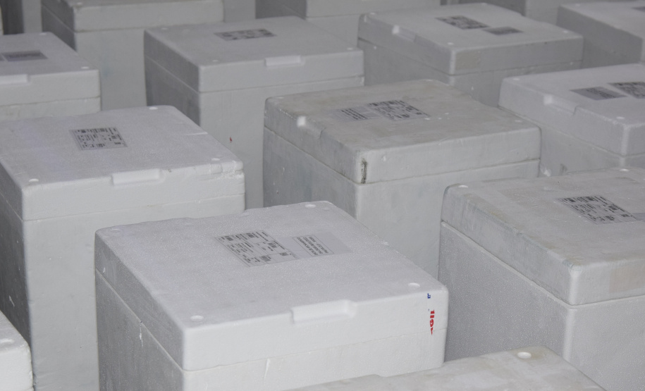 Saúde recebe mais 567 mil vacinas contra a Covid-19 e inicia distribuição ainda hoje para Regionais