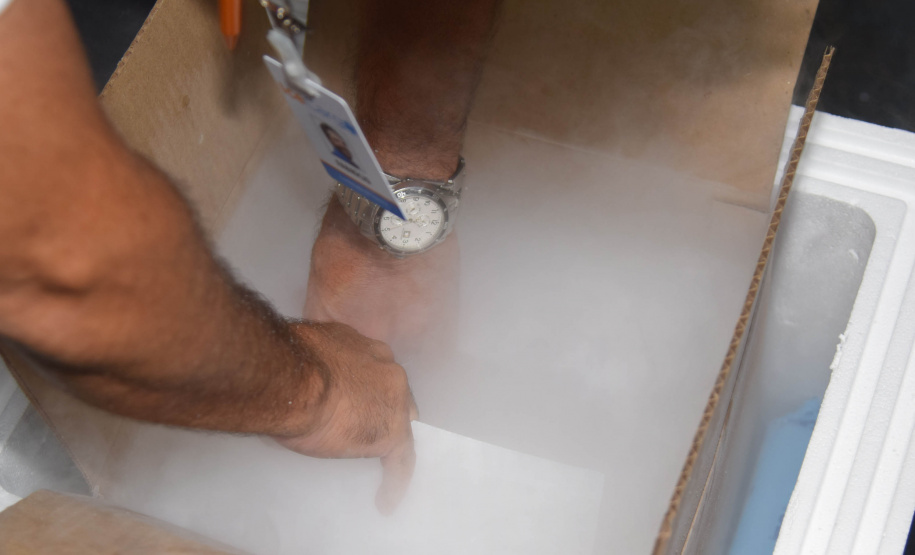 Vacinas pediátricas chegam ao Paraná e serão distribuídas nesta quarta-feira