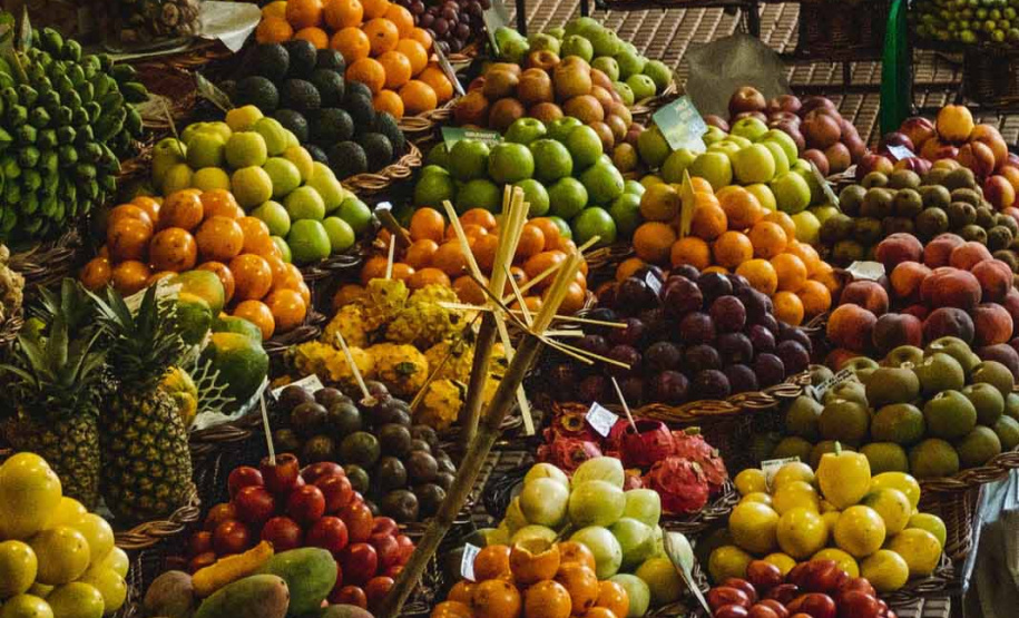 Café da manhã em parreiral e uma noite na carroça? Veja opções de experiências memoráveis na RMC
