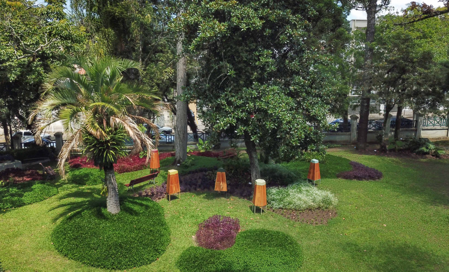 MUPA promove cinco meses de programação focada nas relações entre humanos e plantas