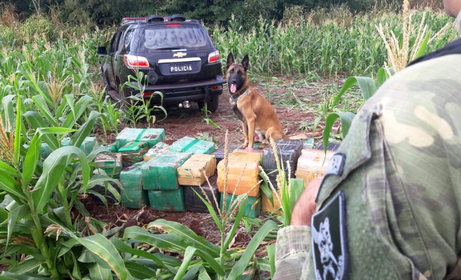 Batalhão de Fronteira quadruplica apreensão de material contrabandeado e apreende mais de 41 toneladas de drogas em 2021