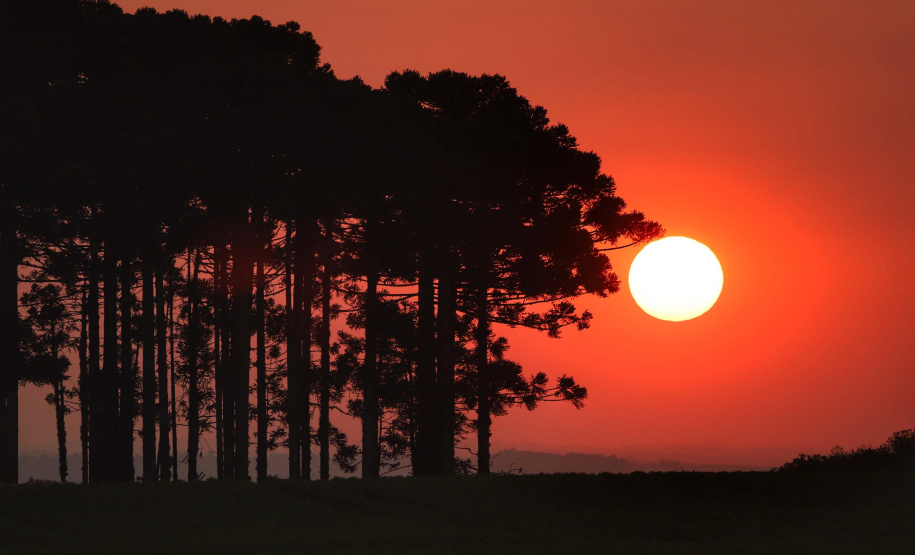 “Calorão” faz Paraná chegar a 40°C; cidades registram recordes históricos
