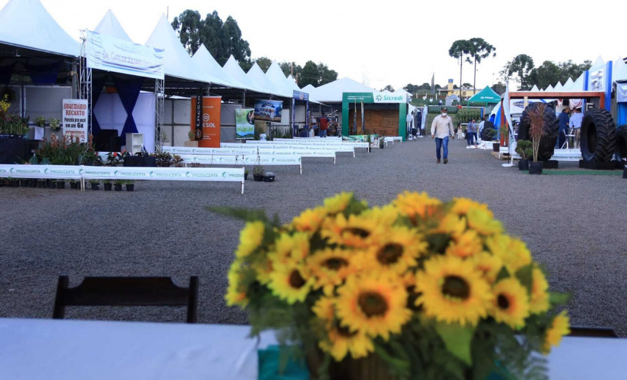 Com Licença de Operação, Producerta gera novos empregos em Boa Ventura de São Roque, no Noroeste