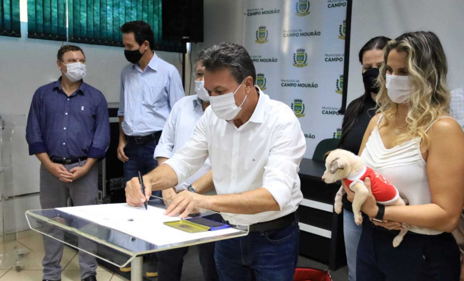 Animais domésticos vitimados terão novo espaço para reabilitação em Campo Mourão