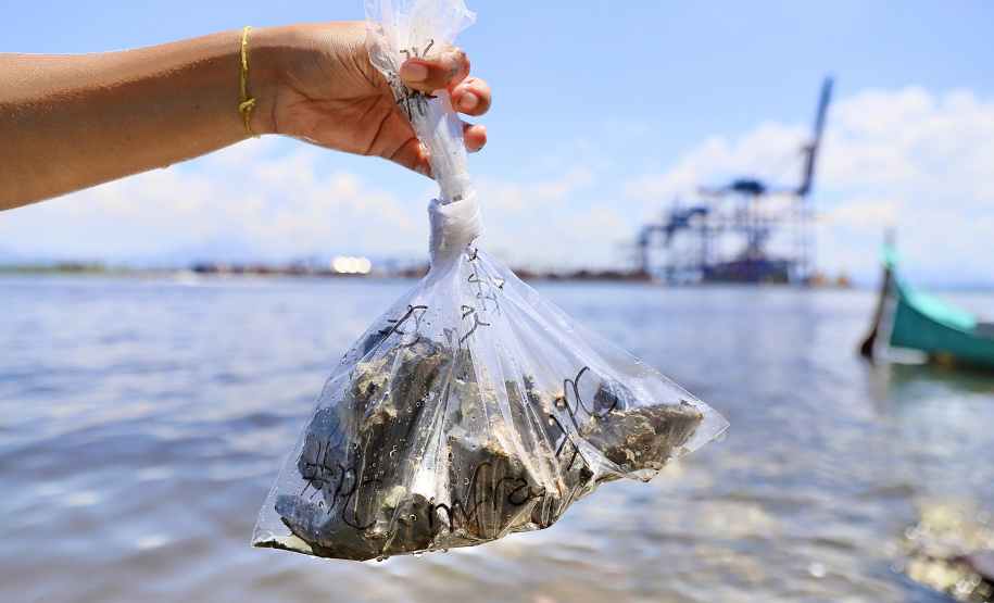 Portos do Paraná é exemplo no Brasil e no mundo em desenvolvimento ambiental