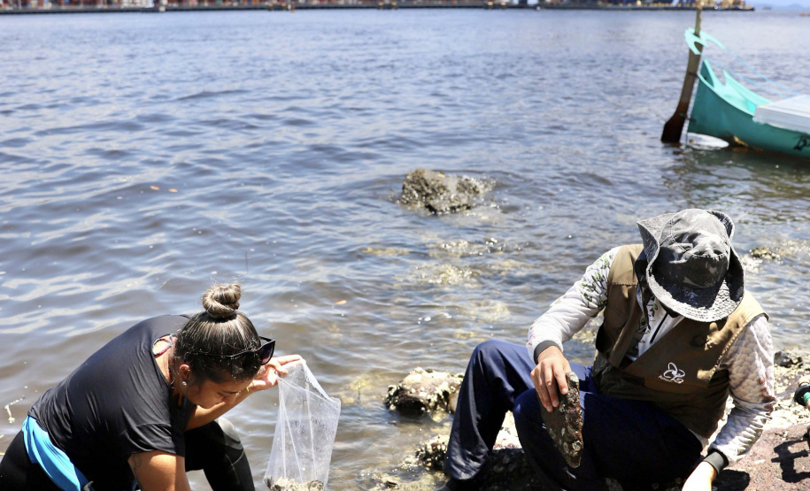 Portos do Paraná é exemplo no Brasil e no mundo em desenvolvimento ambiental