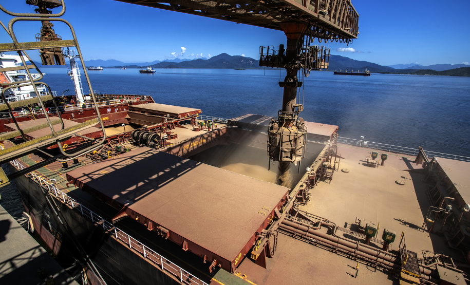 Terminais do Porto de Paranaguá fazem projeção para as exportações de granéis sólidos para 1º tri