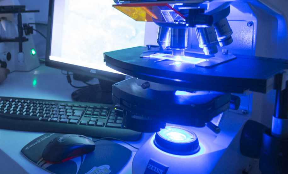 UEM receberá investimento de R$ 954 mil em 29 projetos de pesquisa