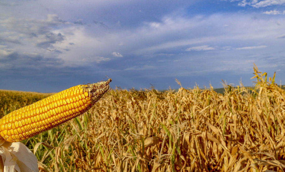Estado pede ao governo federal mais ações para produtores prejudicados pela crise hídrica
