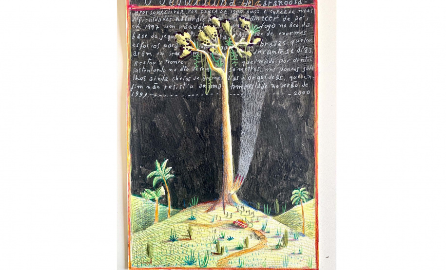 Evento internacional reúne artistas e pesquisadores para bate-papo no Museu Paranaense