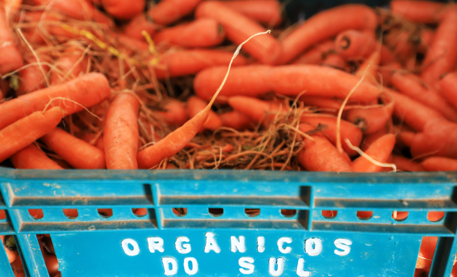 Com milhares de produtores certificados, Paraná aposta no cultivo de orgânicos