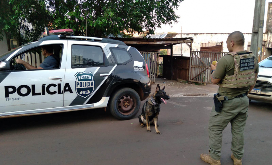 Ações com cães da Polícia Civil apreenderam 7,8 toneladas de drogas em 2021