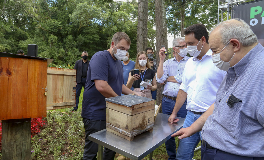 PARANÁ POLINIZA