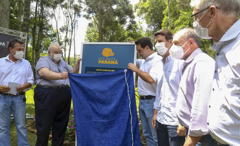 PARANÁ POLINIZA