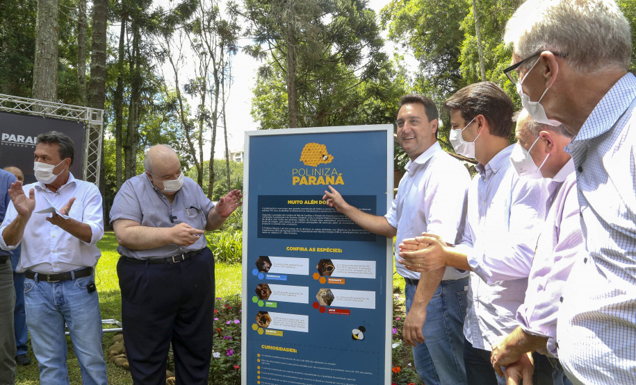 PARANÁ POLINIZA