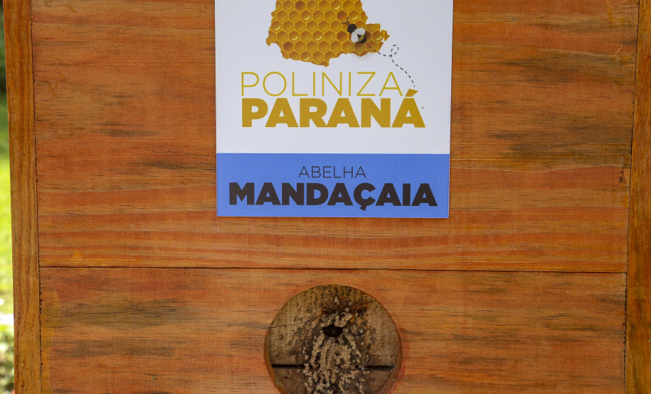 PARANÁ POLINIZA