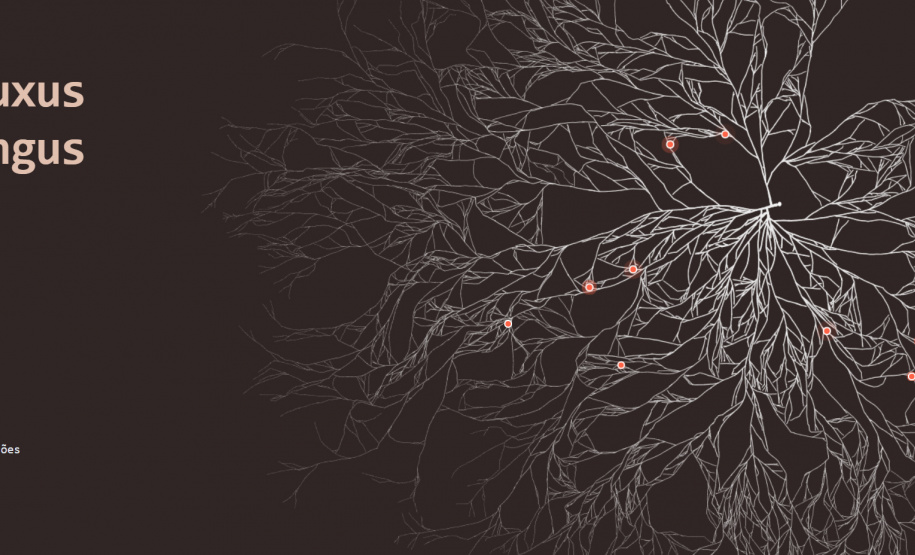 Salão Paranaense lança site oficial com mostra de obras premiadas