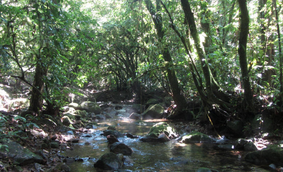 Governo do Paraná destaca papel das RPPNs na conservação da biodiversidade