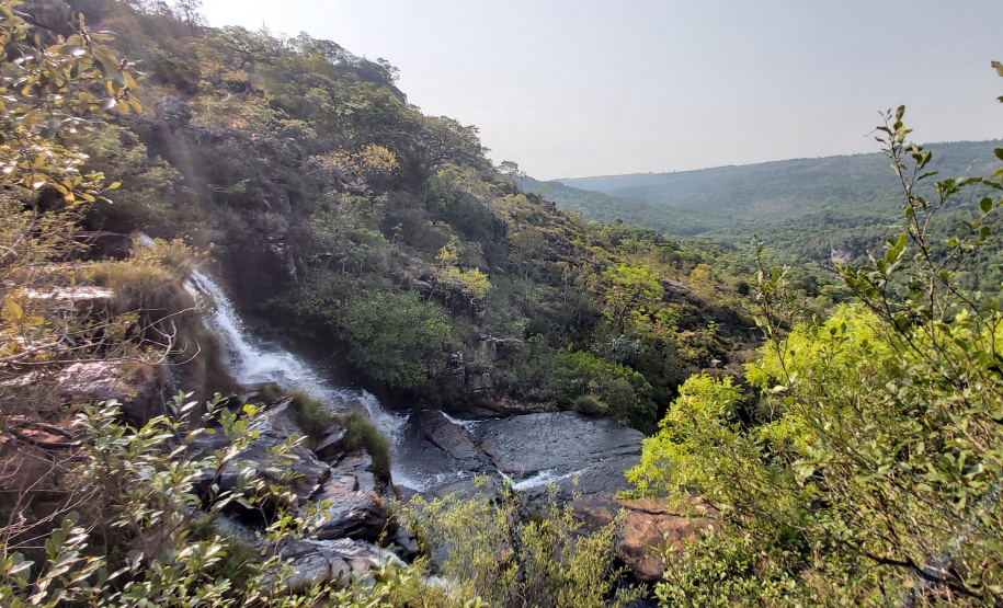 Governo do Paraná destaca papel das RPPNs na conservação da biodiversidade
