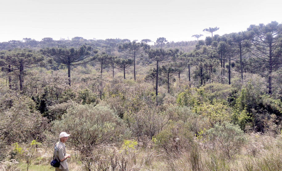 Governo do Paraná destaca papel das RPPNs na conservação da biodiversidade