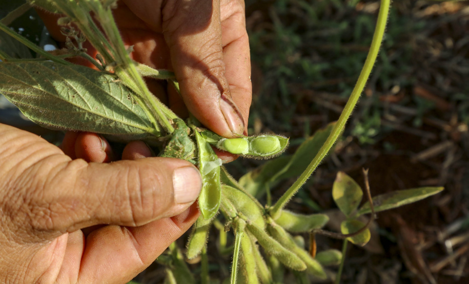 Estado pede ao governo federal mais ações para produtores prejudicados pela crise hídrica