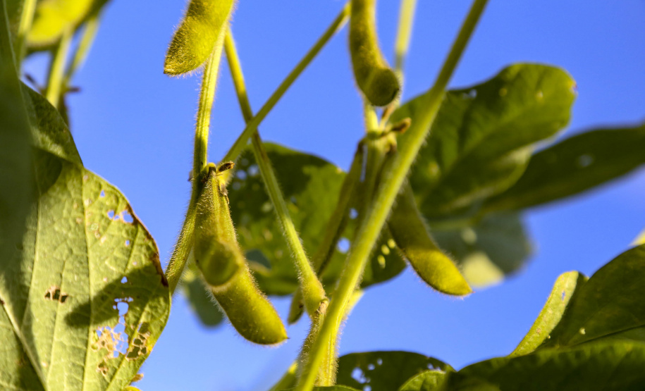 Estado pede ao governo federal mais ações para produtores prejudicados pela crise hídrica