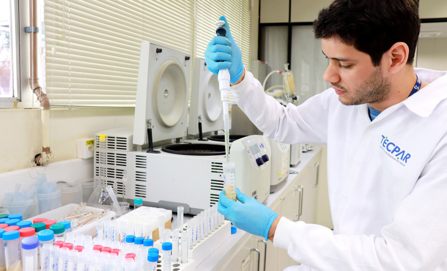 TECPAR E FUNDEPAR ASSEGURAM QUALIDADE DA ALIMENTAÇÃO ESCOLAR PARA 2022