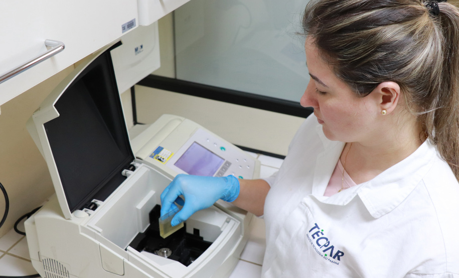 TECPAR APOIA AGRONEGÓCIO COM SERVIÇOS TECNOLÓGICOS E INOVAÇÃO