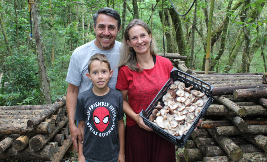PRODUTORES ORGÂNICOS DA GRANDE CURITIBA CONTAM COM CERTIFICAÇÃO PELO TECPAR
