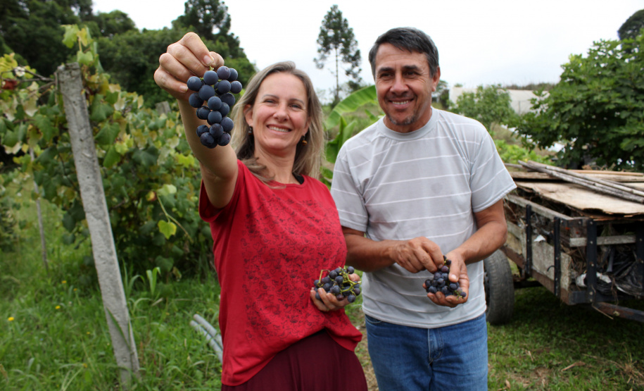 PRODUTORES ORGÂNICOS DA GRANDE CURITIBA CONTAM COM CERTIFICAÇÃO PELO TECPAR