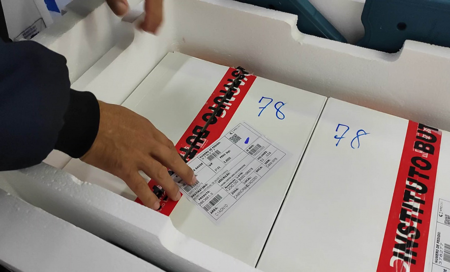 Vacinas pediátricas chegam ao Paraná e serão distribuídas nesta quarta-feira