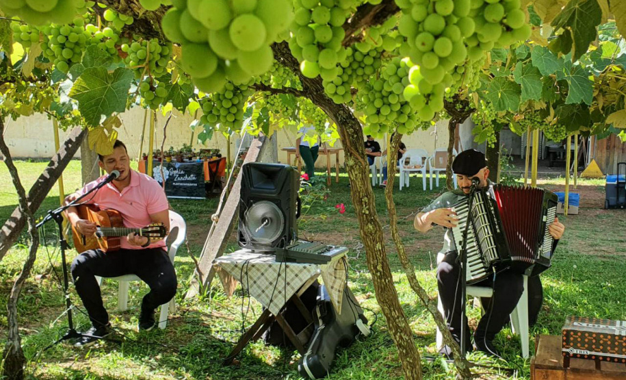 Café da manhã em parreiral e uma noite na carroça? Veja opções de experiências memoráveis na RMC